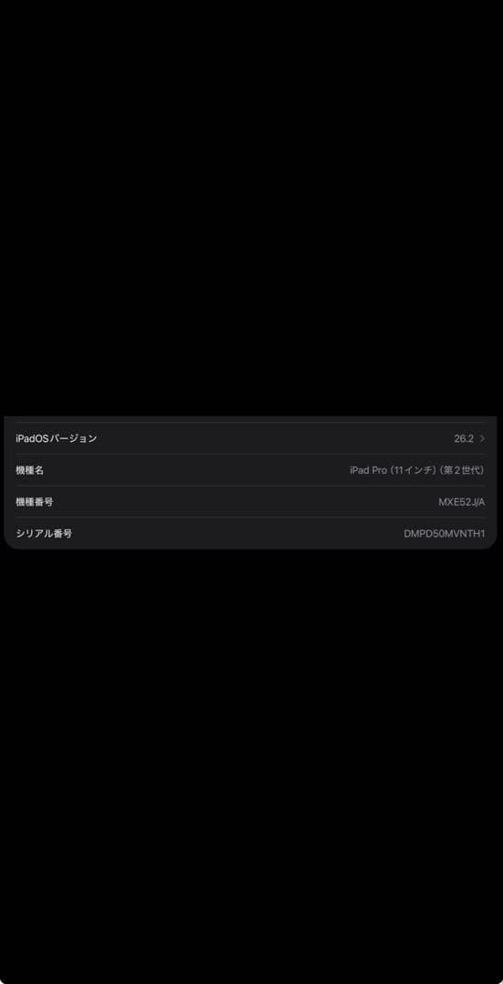 極美iPadPro 11インチ256GBApple Pencilキーボードケース
