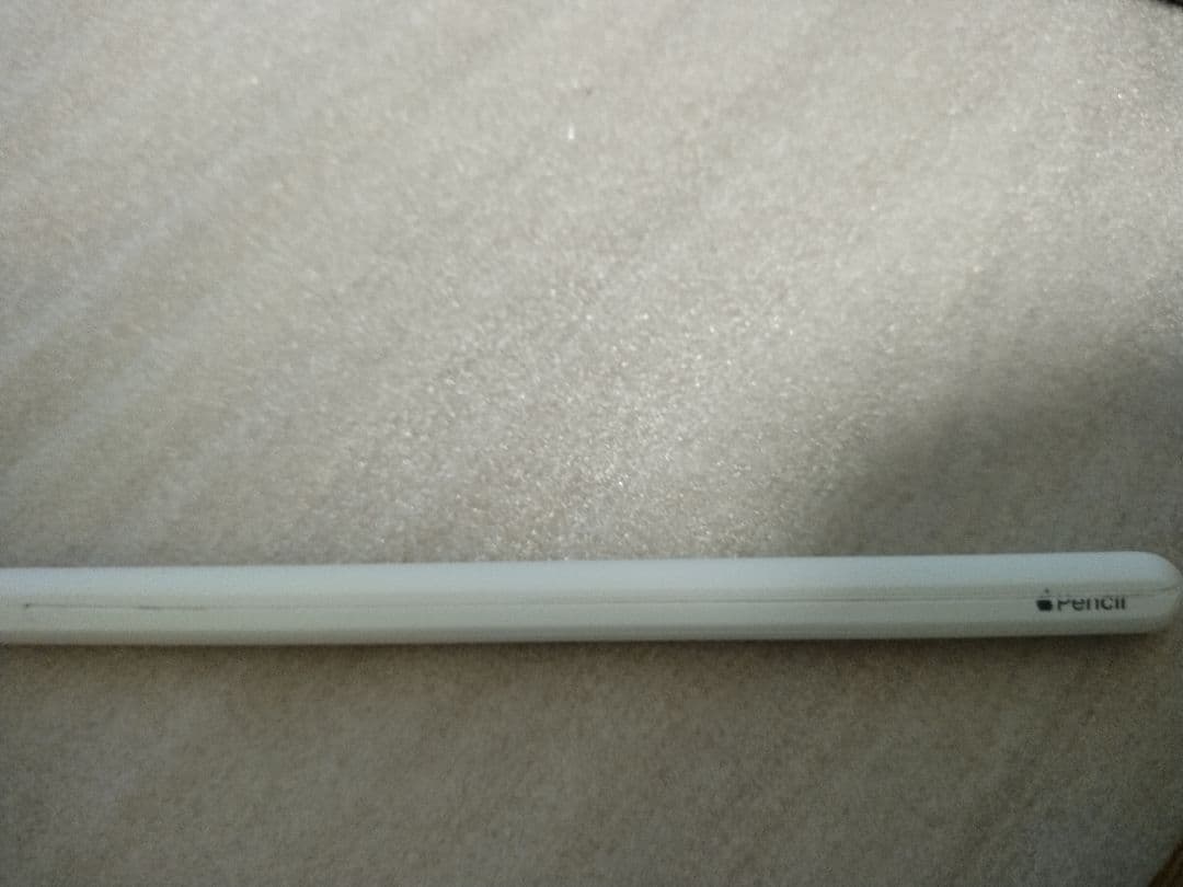 【daisuke】iPadPro12.9インチ第6世代256GB