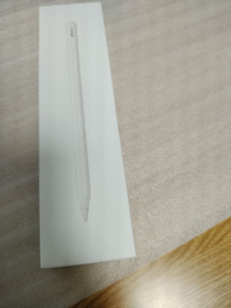 【daisuke】iPadPro12.9インチ第6世代256GB