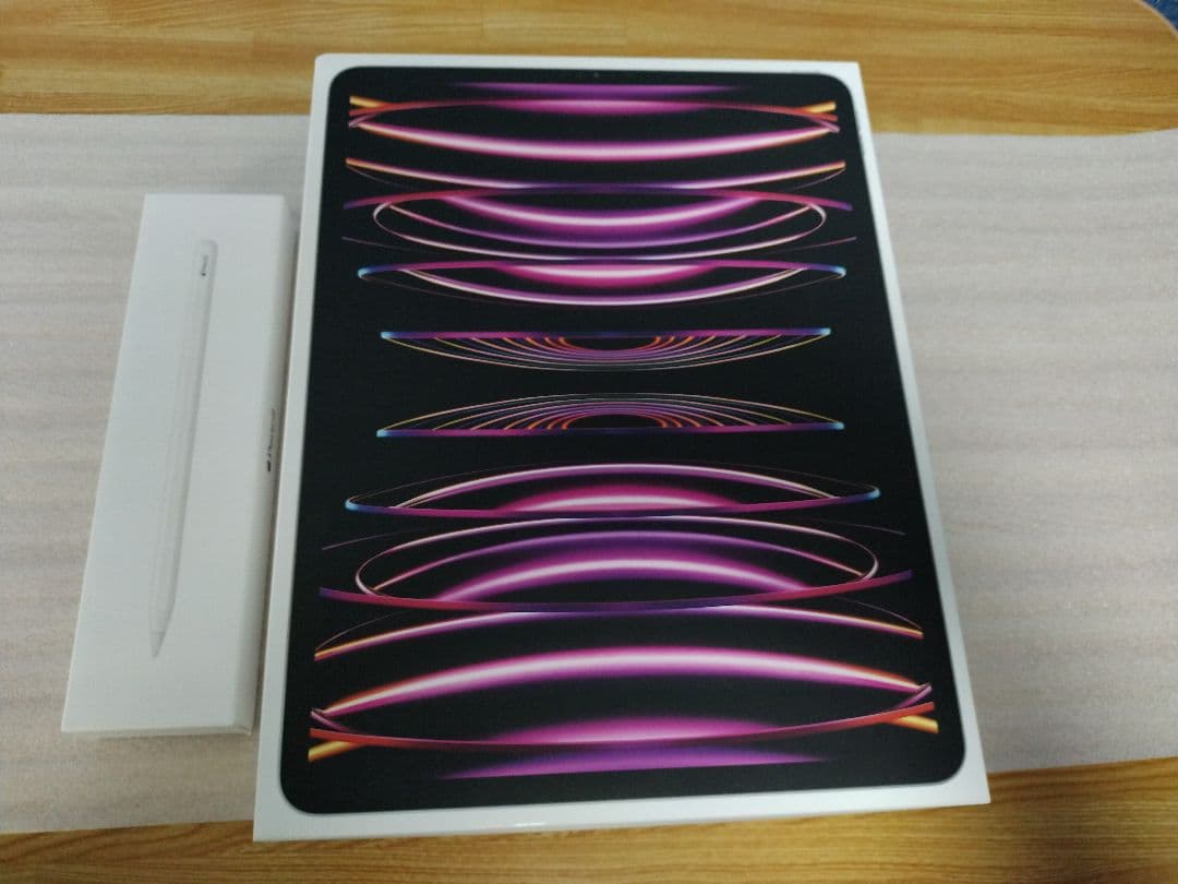 【daisuke】iPadPro12.9インチ第6世代256GB