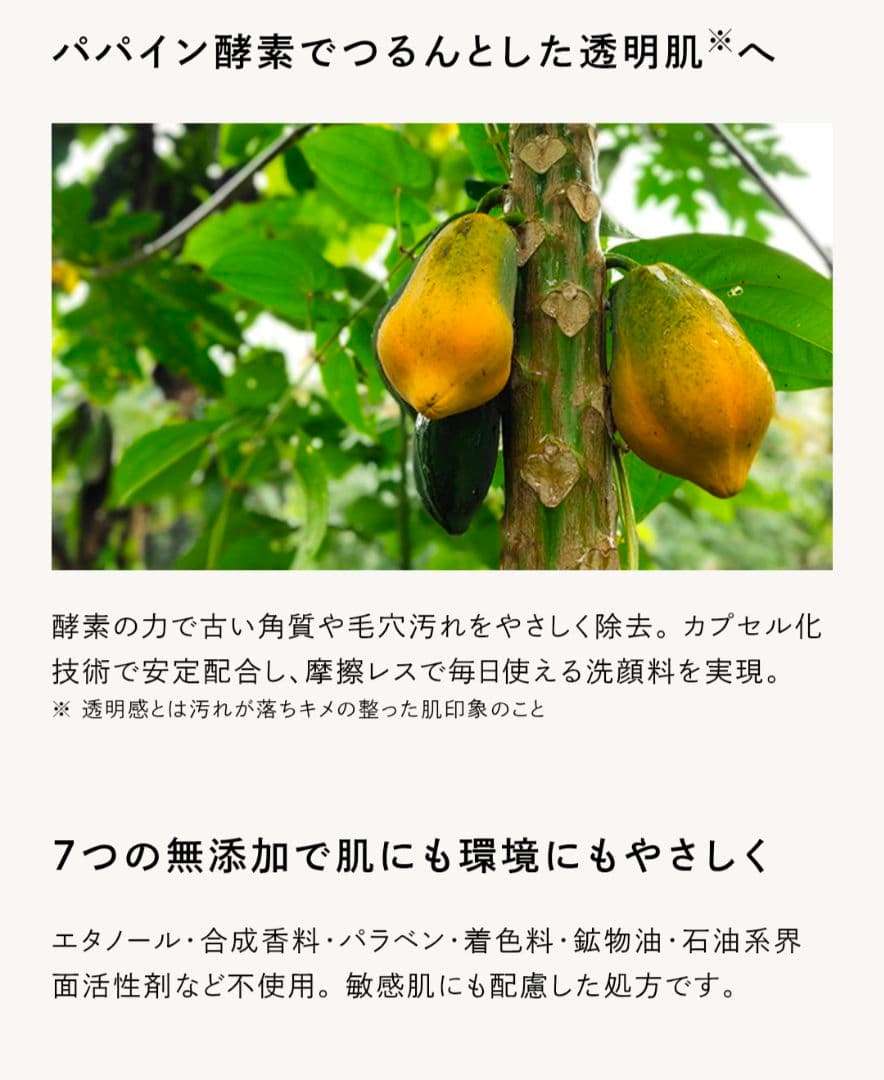 Nオーガニック Vie クリアホイップフォーム