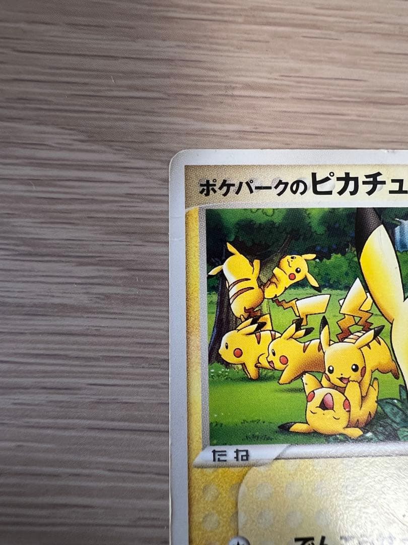 ポケパークのピカチュウ PROMO PCG-Pプロモカード 043/PCG-P