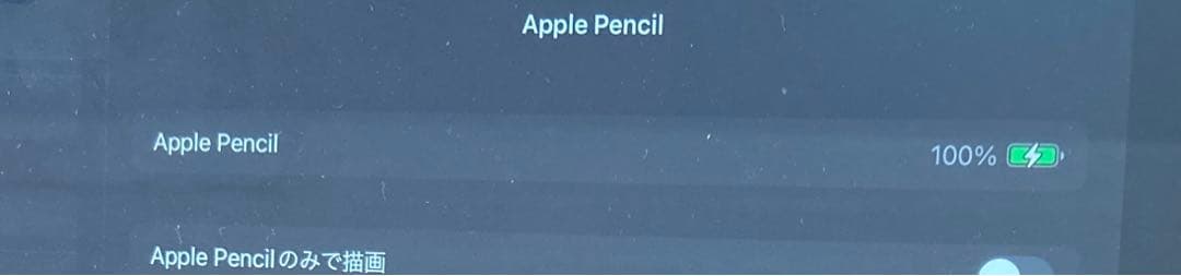 APPLE PENCIL アップルペンシル　第1世代