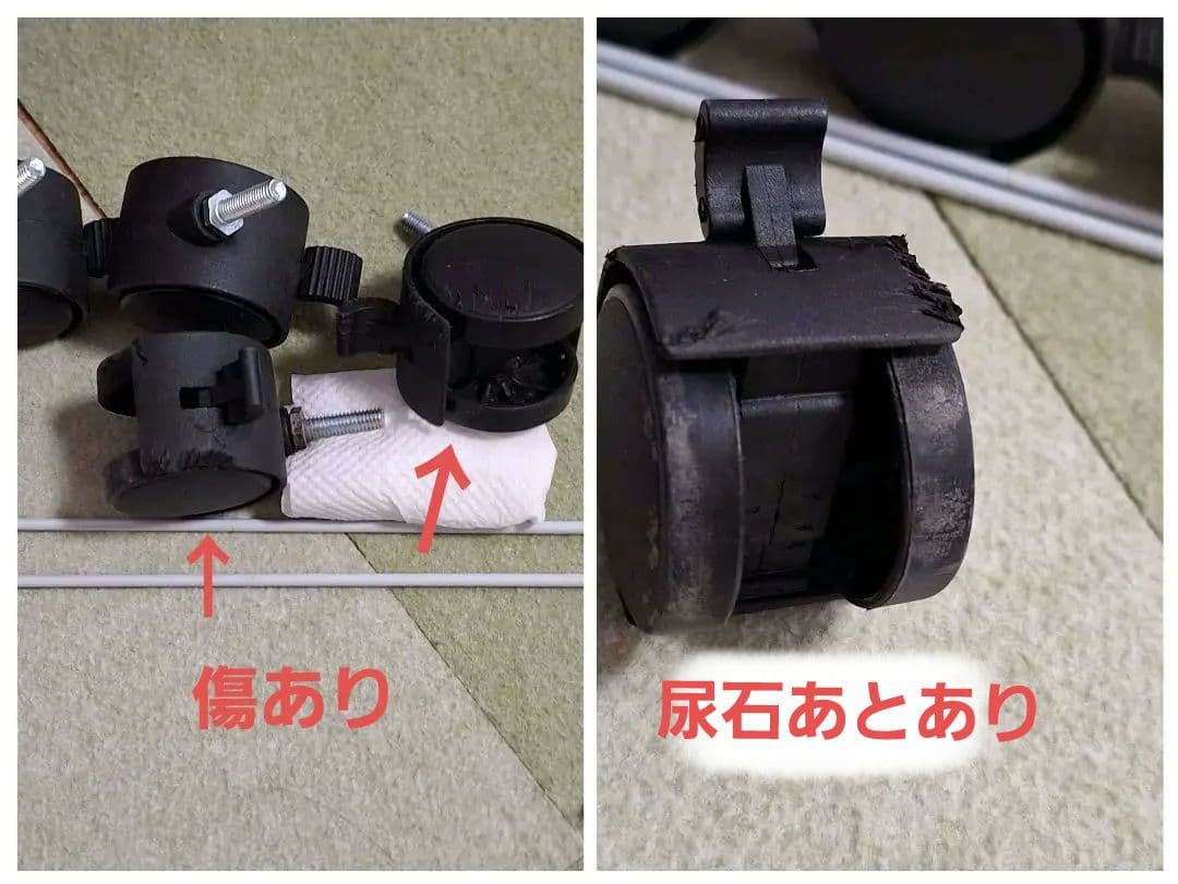 イージーホーム80　エボ　ラベンダー　チモシ　サプリ　ペレット　扉　被毛剤セット