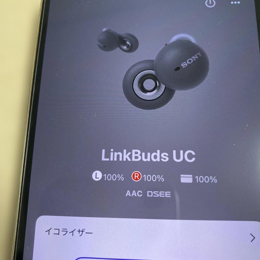 SONY LinkBuds UC イヤホン WF-L900UC