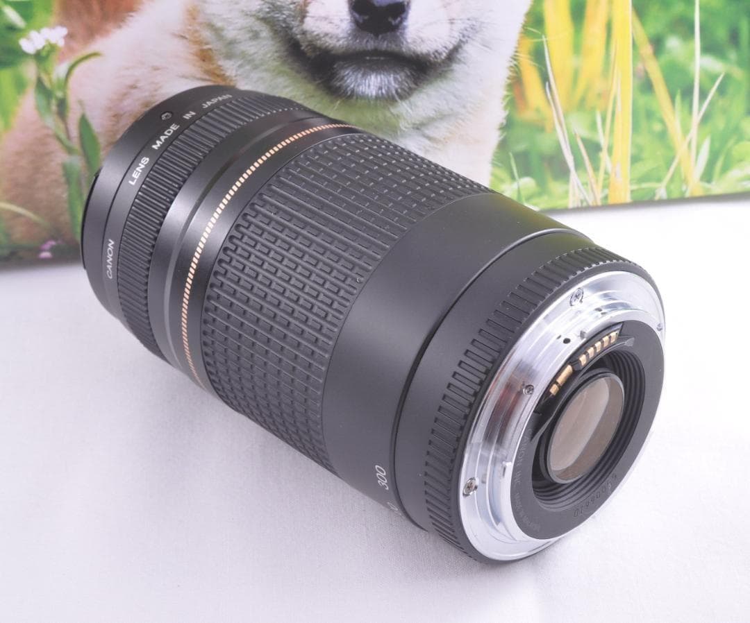 Canon 75-300mm キヤノン 整備済 迅速発送 フード付 望遠レンズ