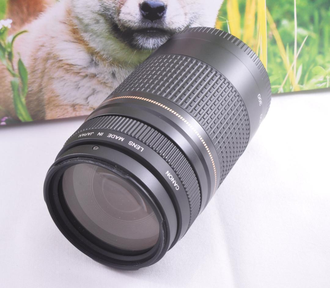 Canon 75-300mm キヤノン 整備済 迅速発送 フード付 望遠レンズ