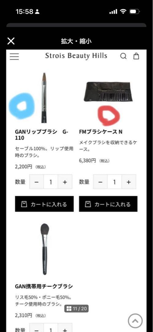 GAN メイクブラシセットforum make up