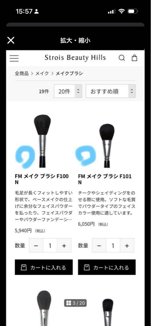 GAN メイクブラシセットforum make up