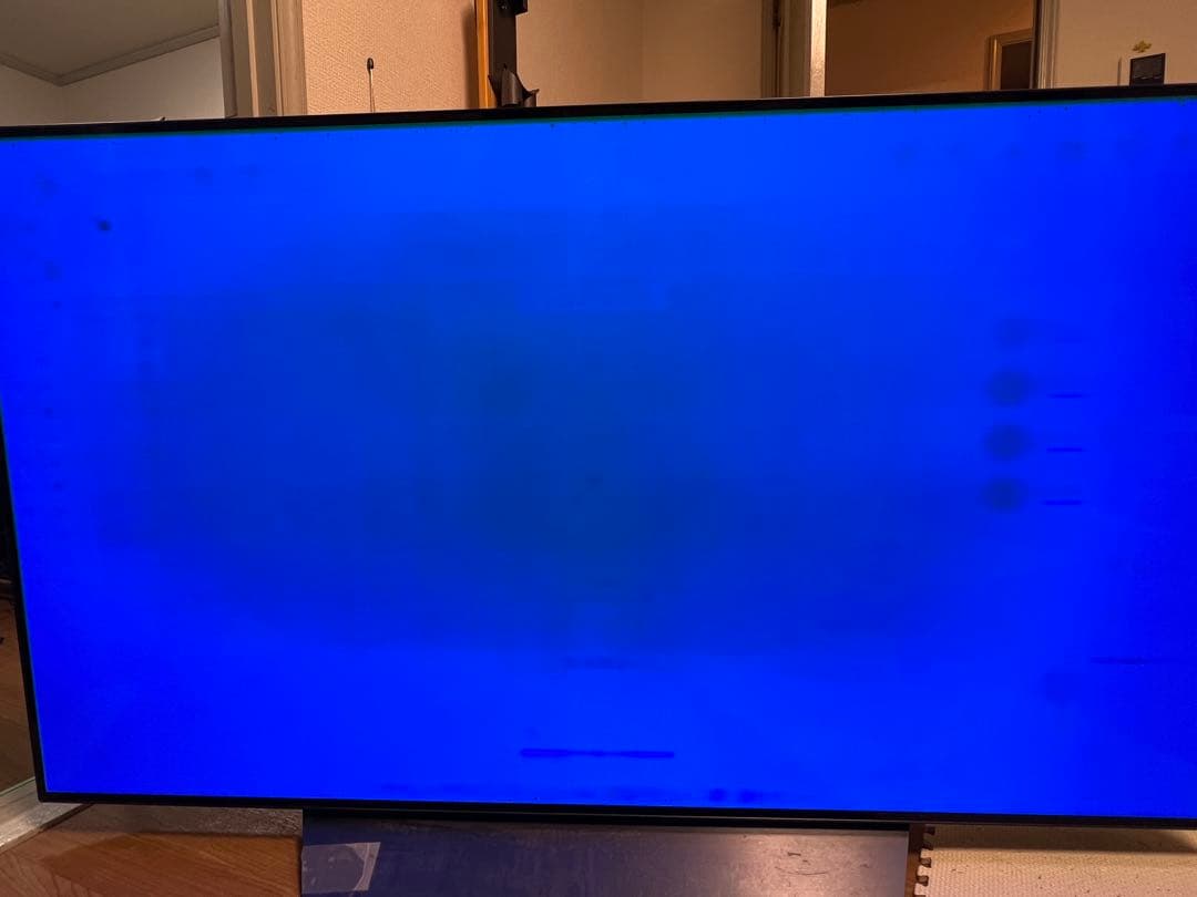 2018年製 LG 有機ELテレビ OLED55B8PJA