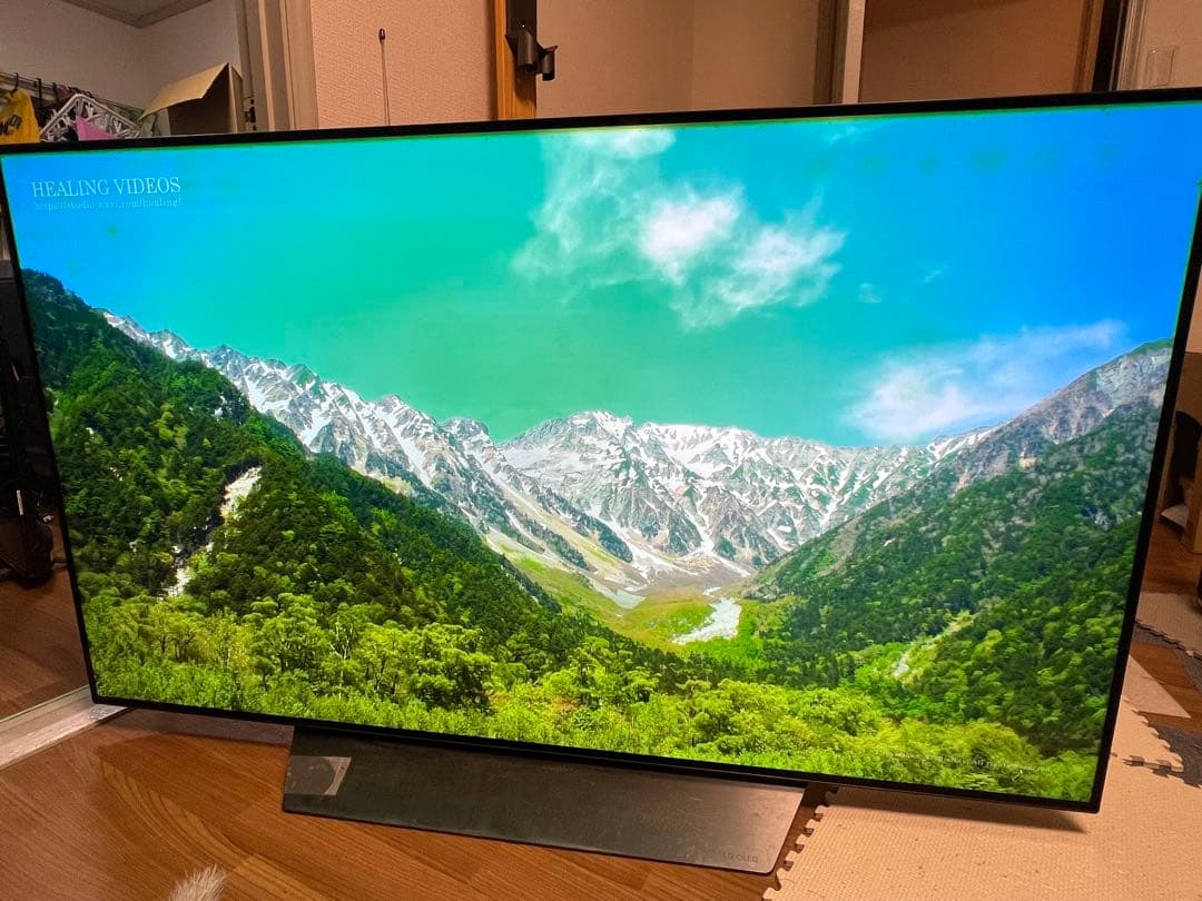 2018年製 LG 有機ELテレビ OLED55B8PJA