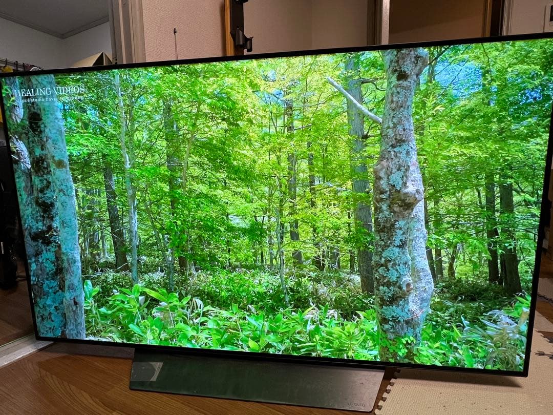 2018年製 LG 有機ELテレビ OLED55B8PJA