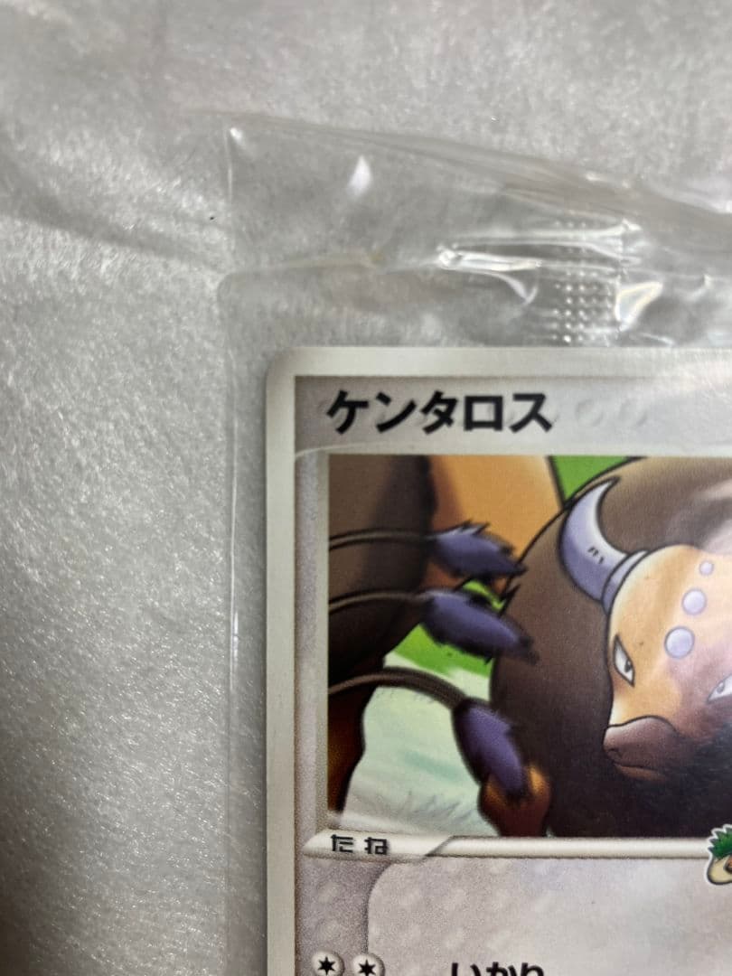 未開封 ケンタロス 049/PCG-P PROMO ポケパーク