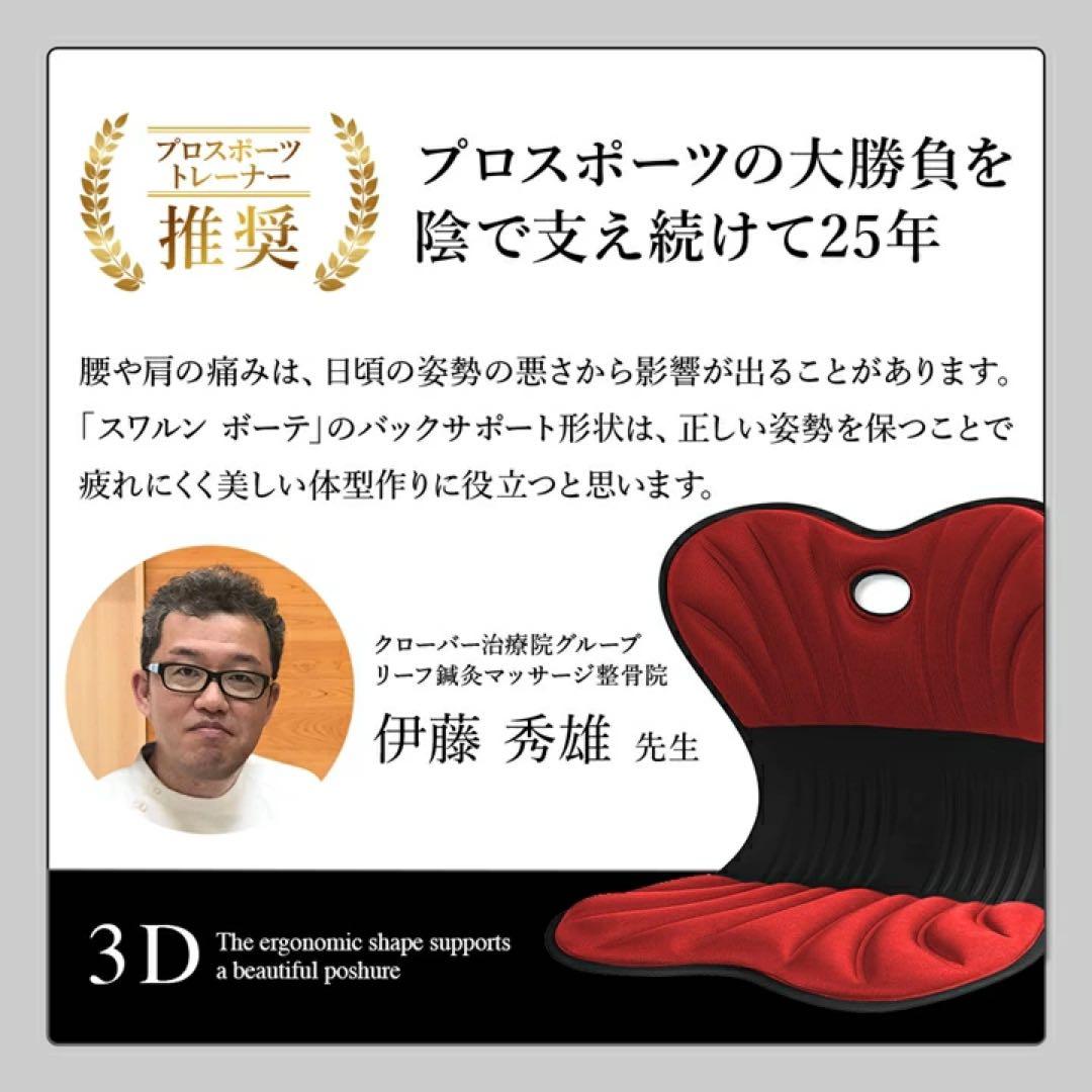 スワンル ボーテ 姿勢矯正　サポートチェア　　座椅子 骨盤矯正 猫背 セット