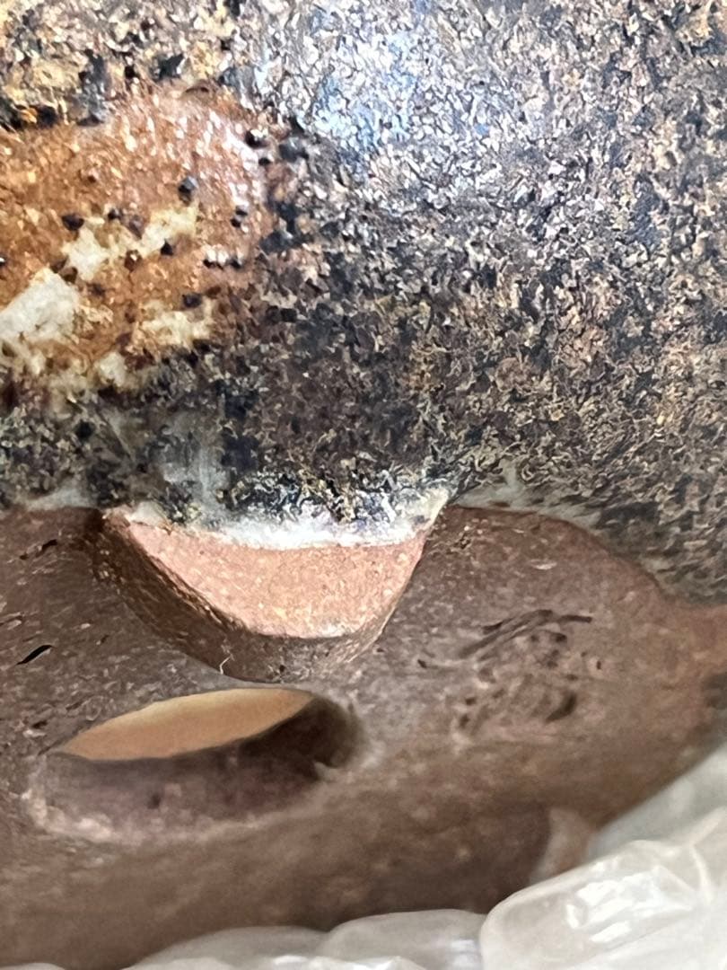 盆栽鉢　植木鉢　陶芸　園芸　盆栽