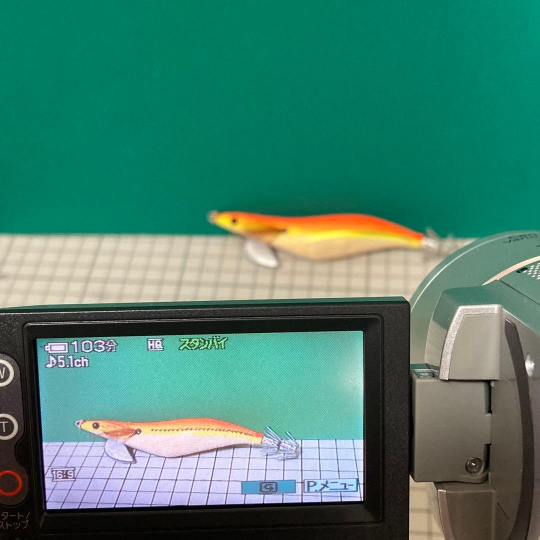 【動作品】 美品 SONY Handycam DCR-SR100 シルバーソニー
