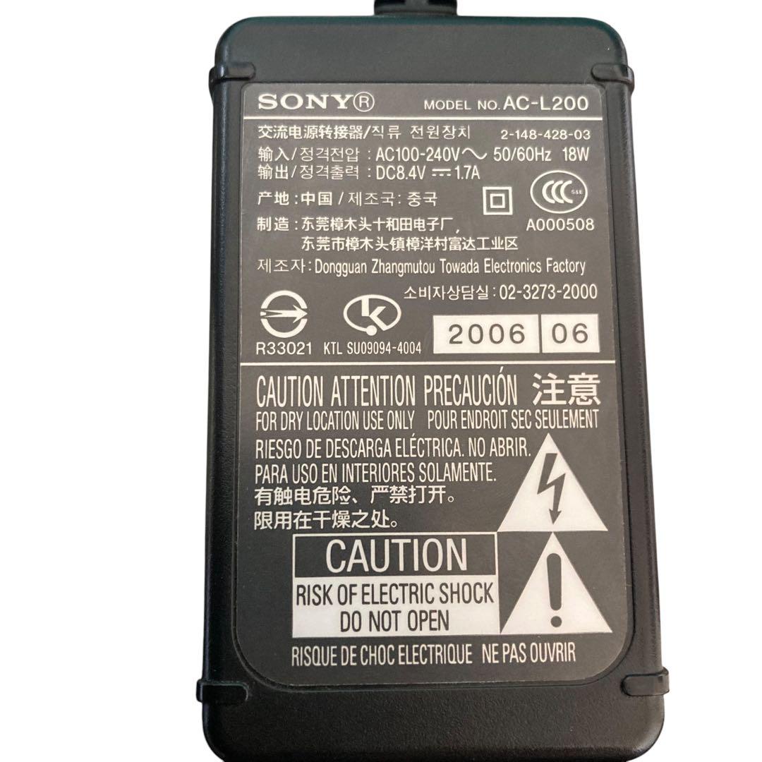 【動作品】 美品 SONY Handycam DCR-SR100 シルバーソニー