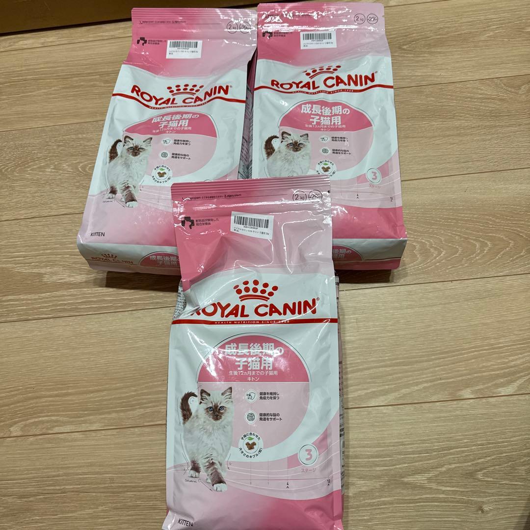  CANIN 子猫用ドライフード 2kg 3袋