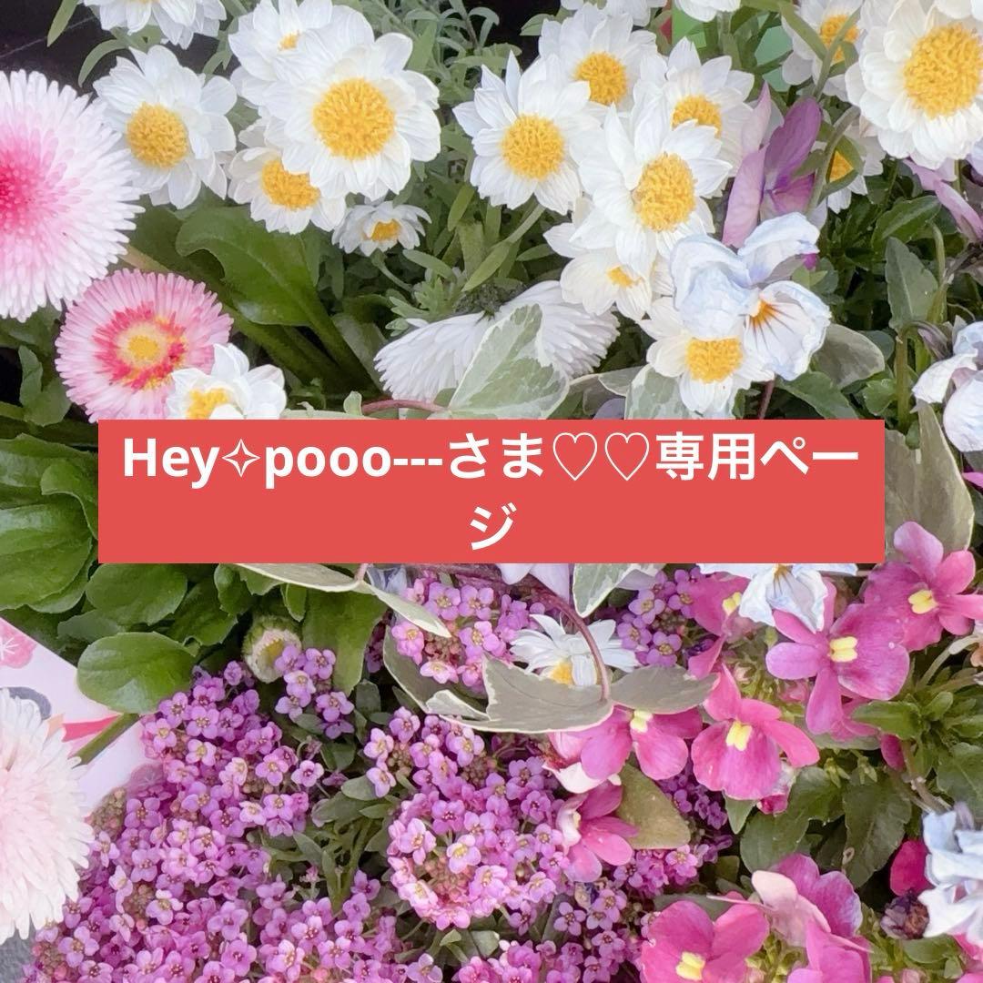 Hey✧pooo---さま♡♡専用ページ