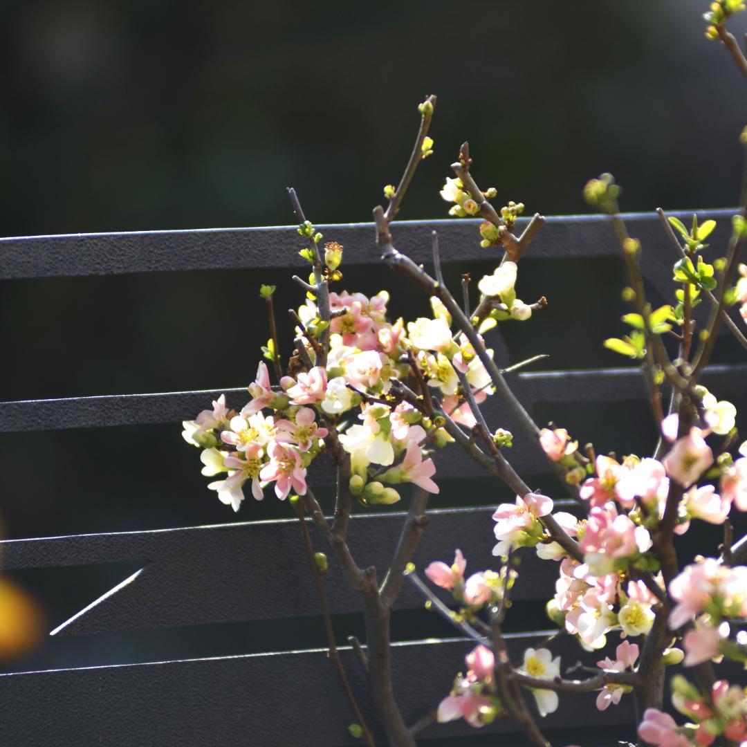 大三元★Nikon ED AF NIKKOR 80-200mm 1:2.8★