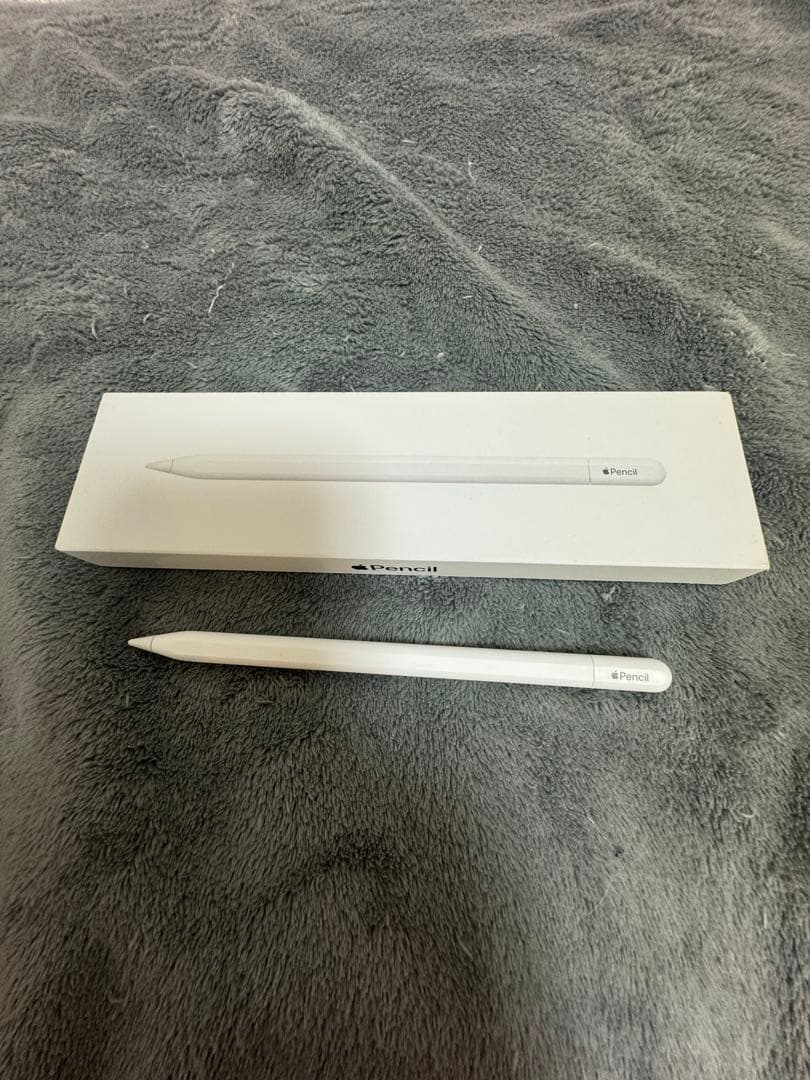 Apple Pencil(USB-C) 箱付き