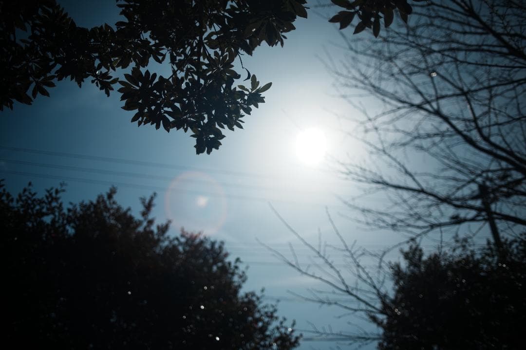 【整備＆テスト済】Canon New FD 35mm F2 キャノン 711