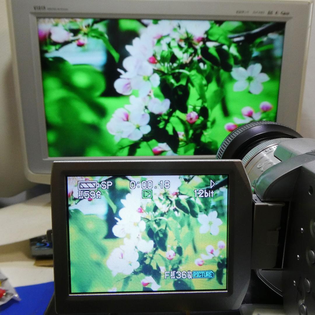 パナソニック NV-GS400 動作良好 MiniDVビデオDVDダビングに最