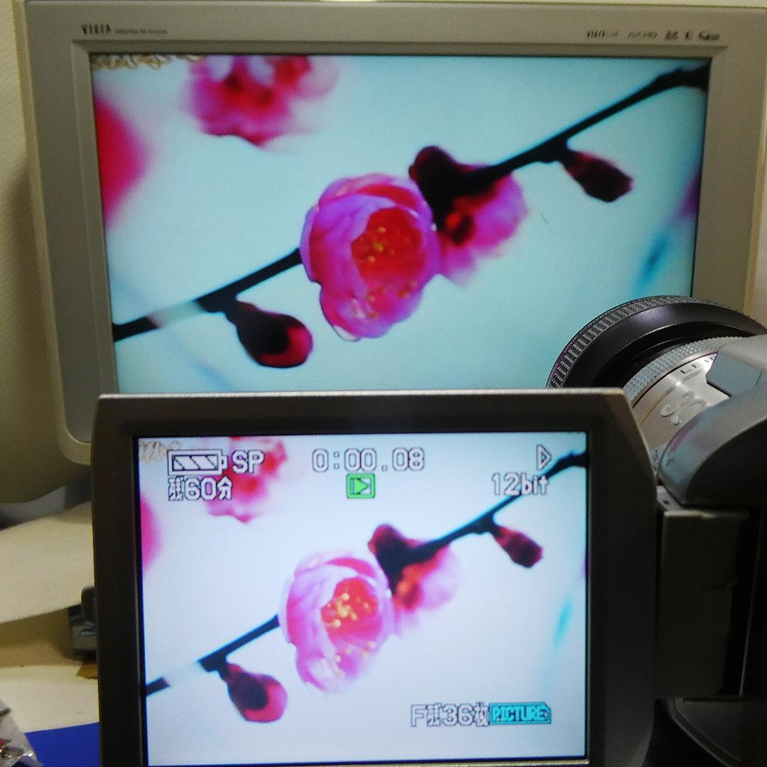 パナソニック NV-GS400 動作良好 MiniDVビデオDVDダビングに最