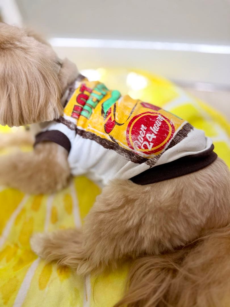 新品リメイク品 HOTDOG柄