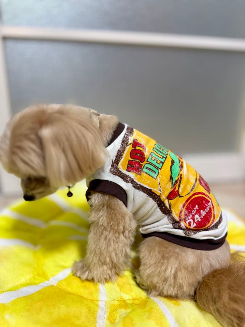 新品リメイク品 HOTDOG柄