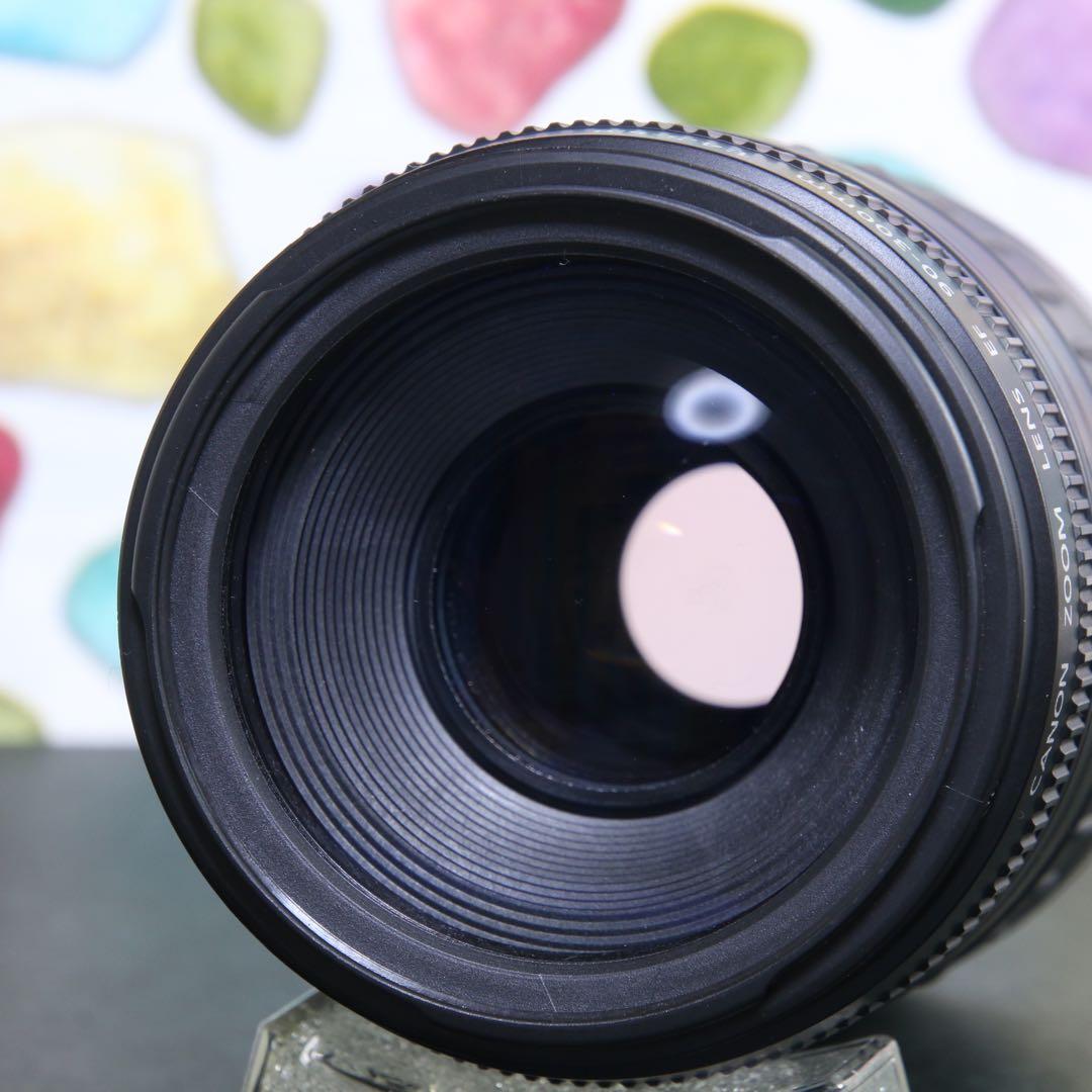 ♥︎◇遠くを撮るならこのレンズ♪ ◇Canon EF 90-300mm