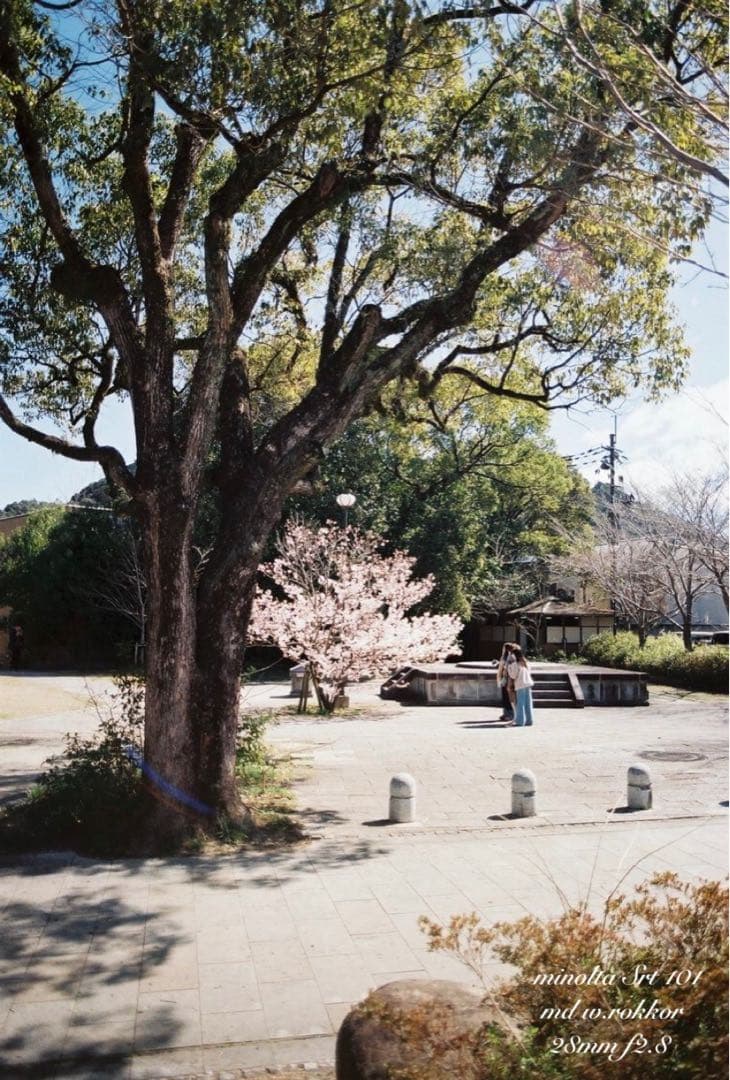 ★minolta srt101＊md 28mm f2.8★完動品＊美品＊初期保証