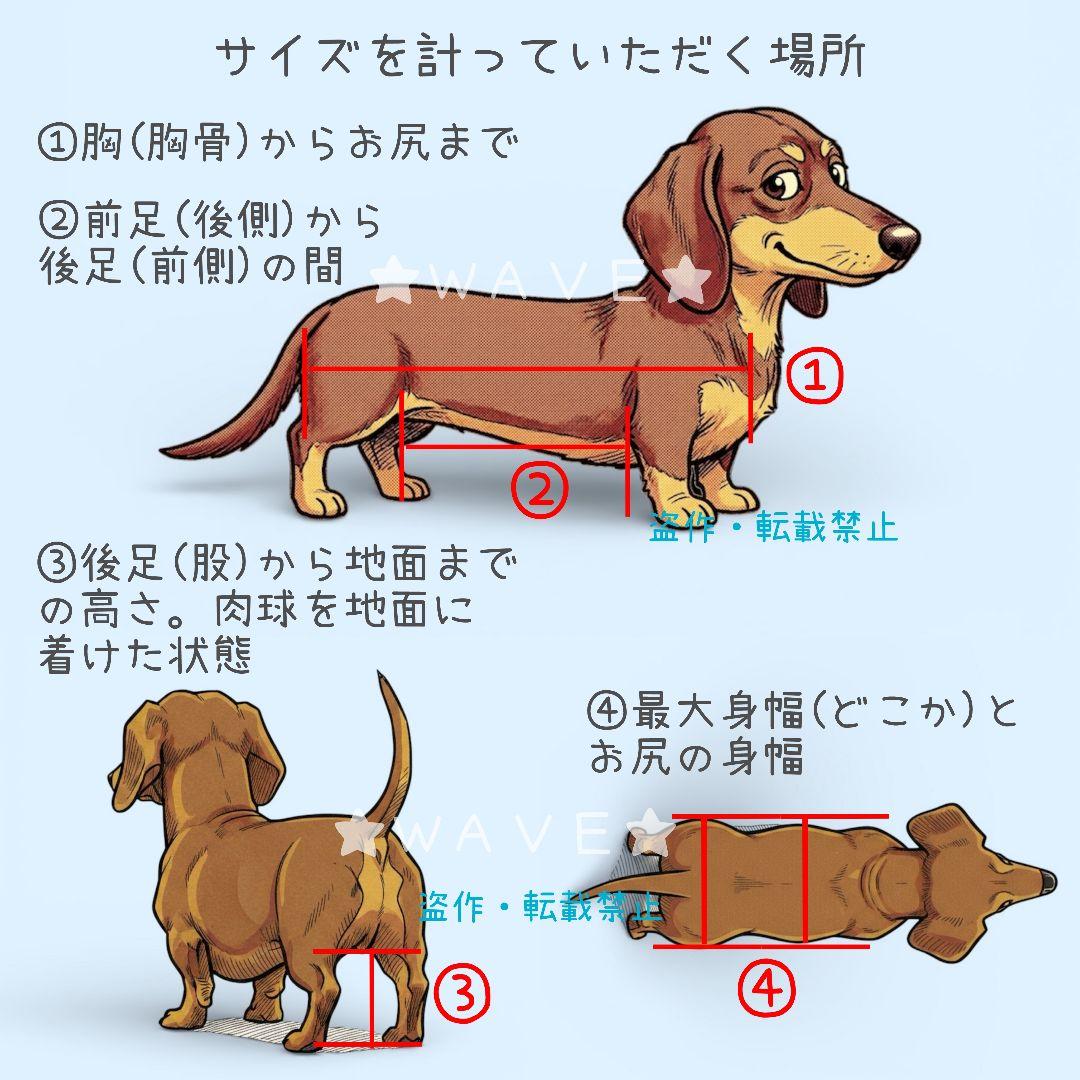 いわ　犬用車椅子　犬の歩行器　歩行補助　サポート　犬の車いす　小型犬用車