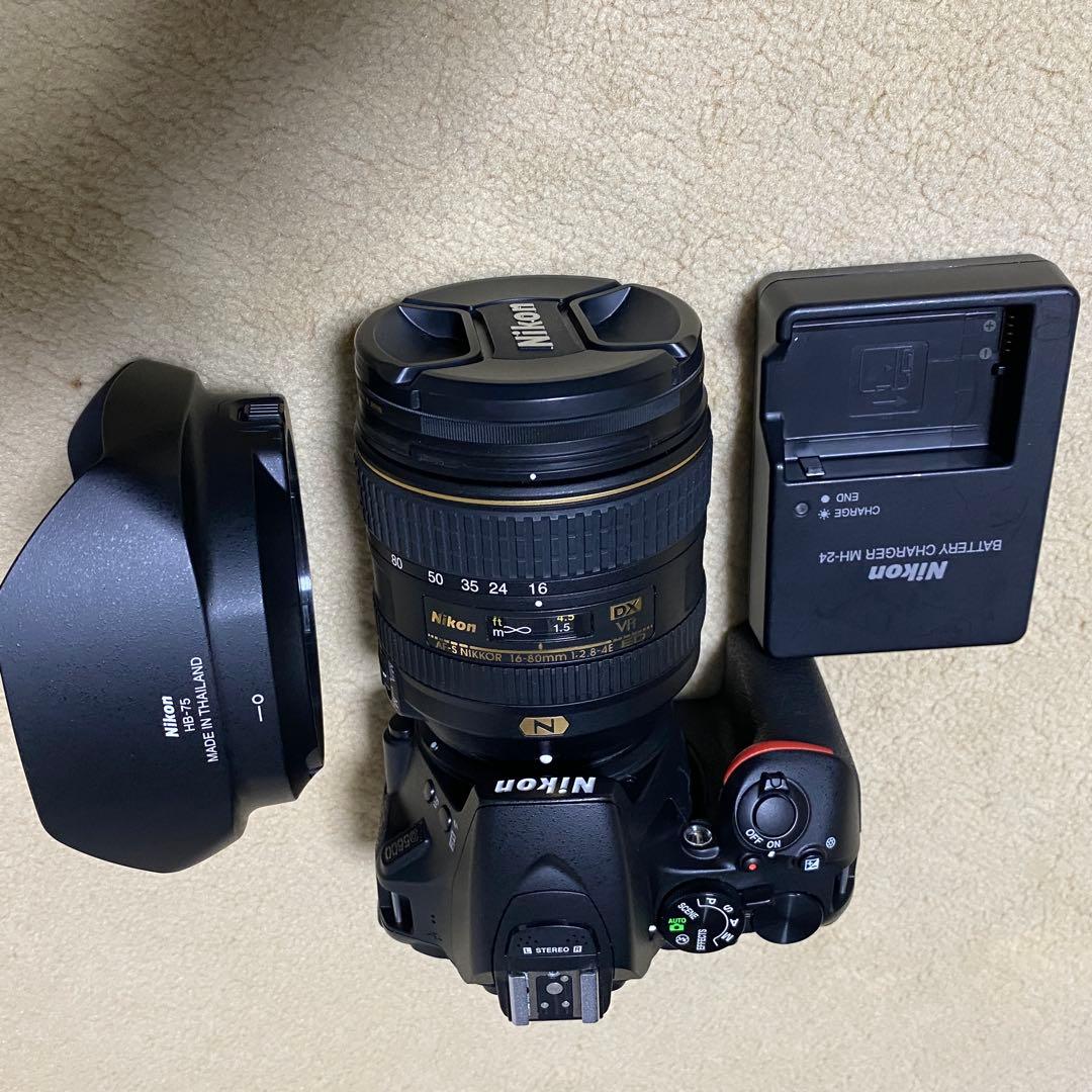 美品 Nikon D5600 16-80mm f2.8-4VRシャッタ-949回