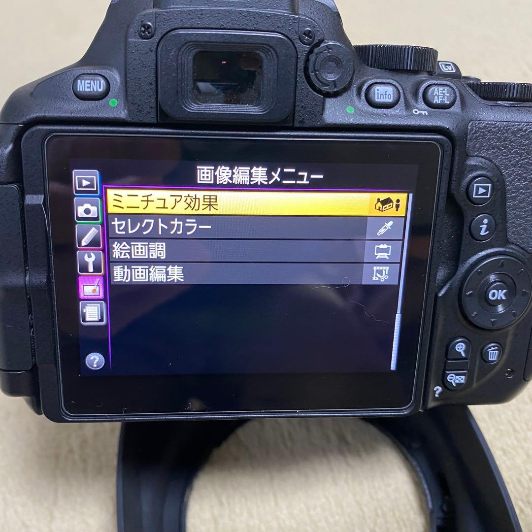 美品 Nikon D5600 16-80mm f2.8-4VRシャッタ-949回