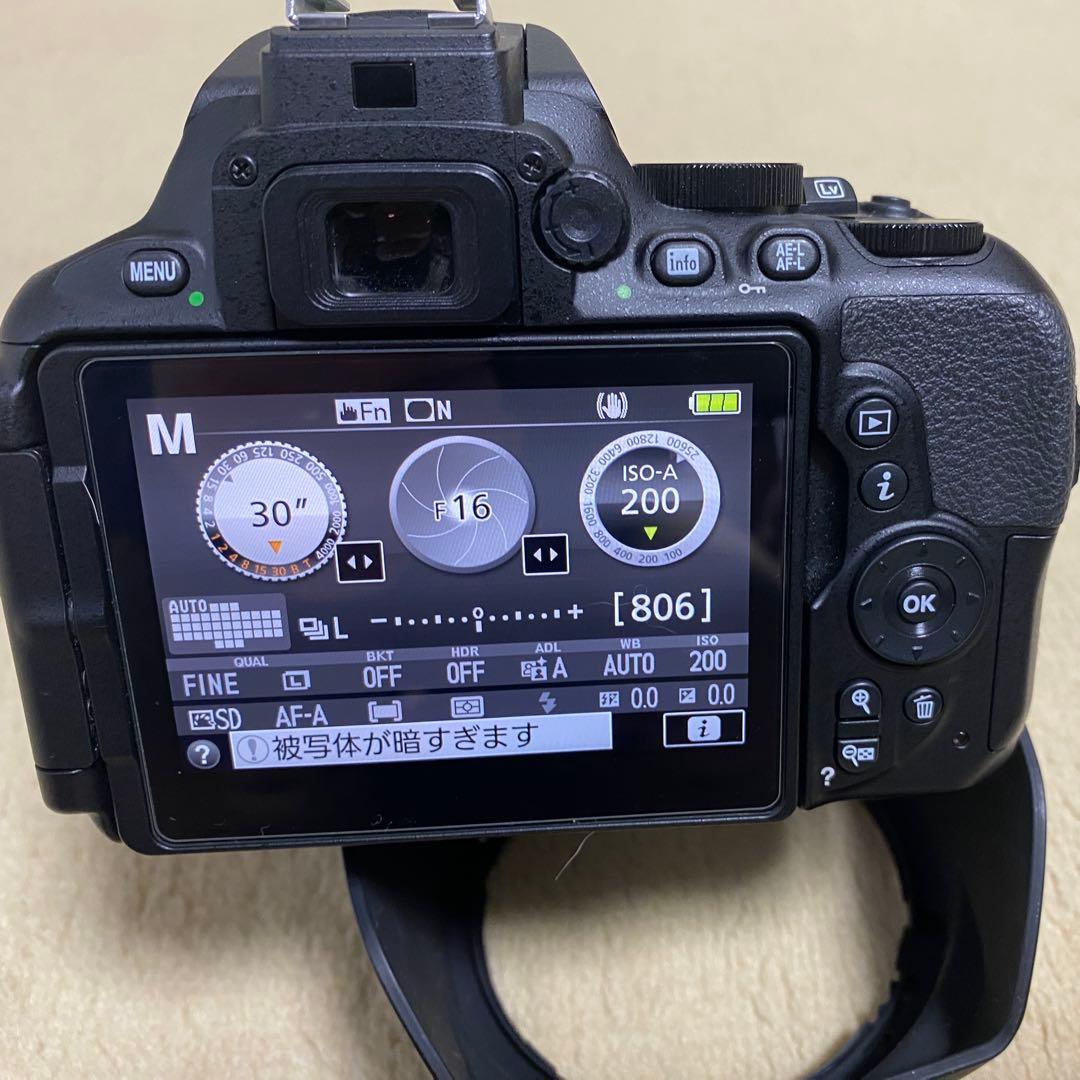 美品 Nikon D5600 16-80mm f2.8-4VRシャッタ-949回