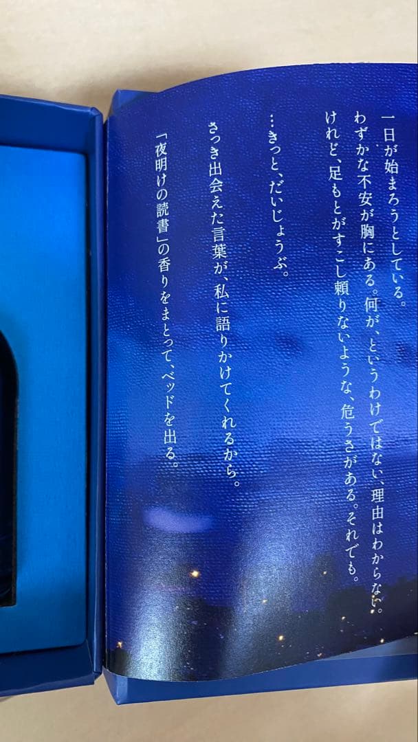 Libroaria 夜明けの読書