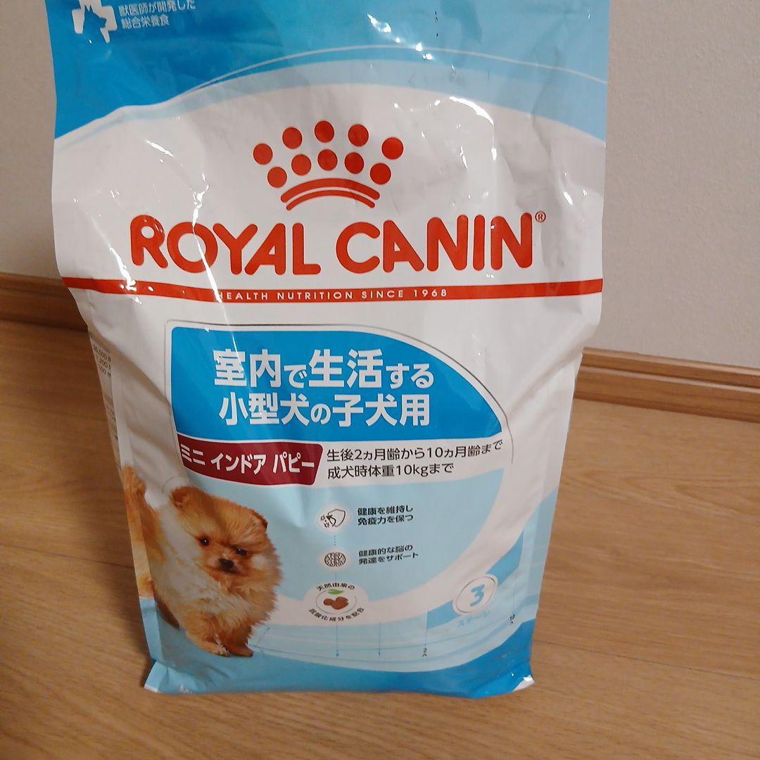  CANIN 小型犬子犬用ドライフード4K 未開封➕️計量スプーン