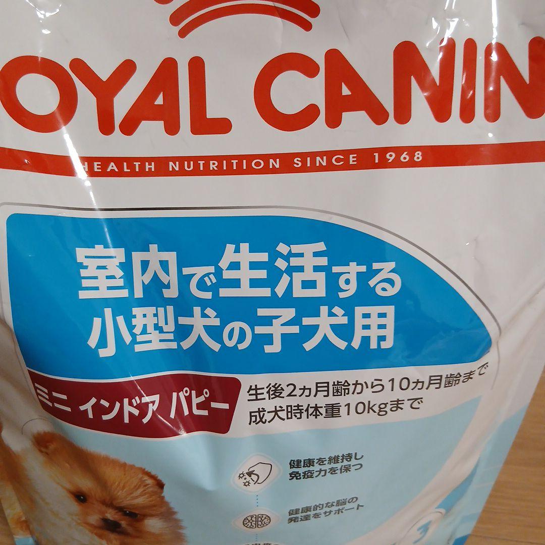  CANIN 小型犬子犬用ドライフード4K 未開封➕️計量スプーン
