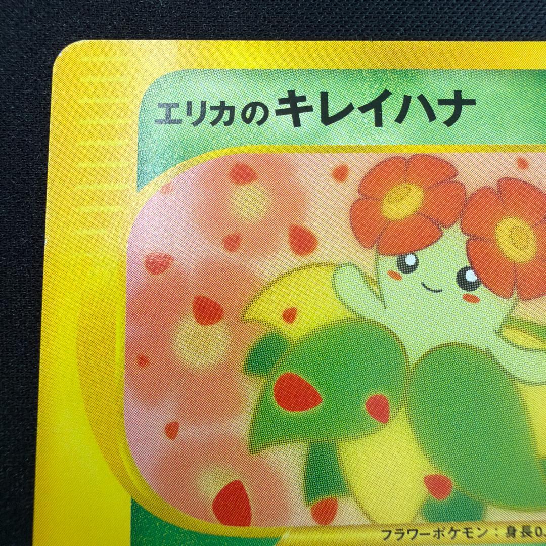 極美品 エリカのキレイハナ カードe 1ed