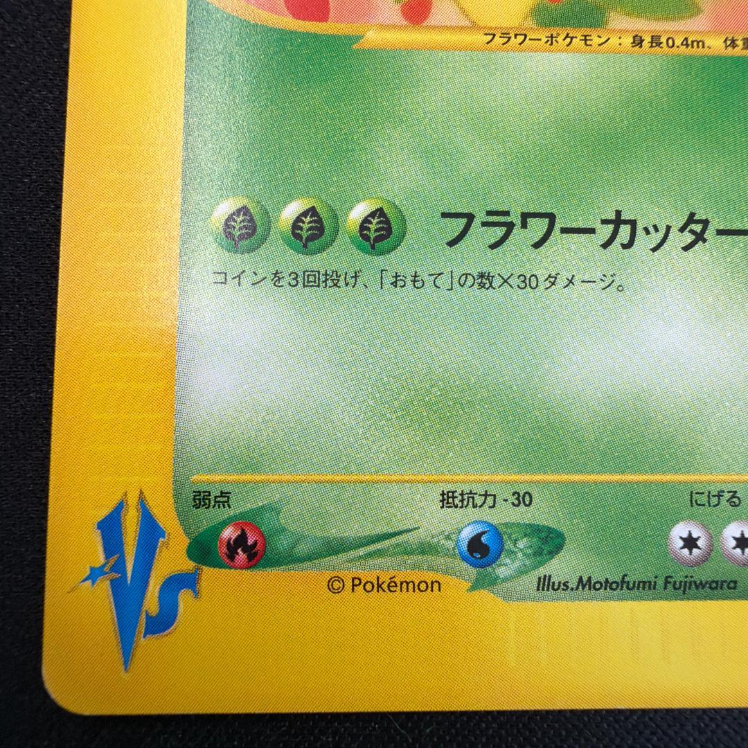 極美品 エリカのキレイハナ カードe 1ed