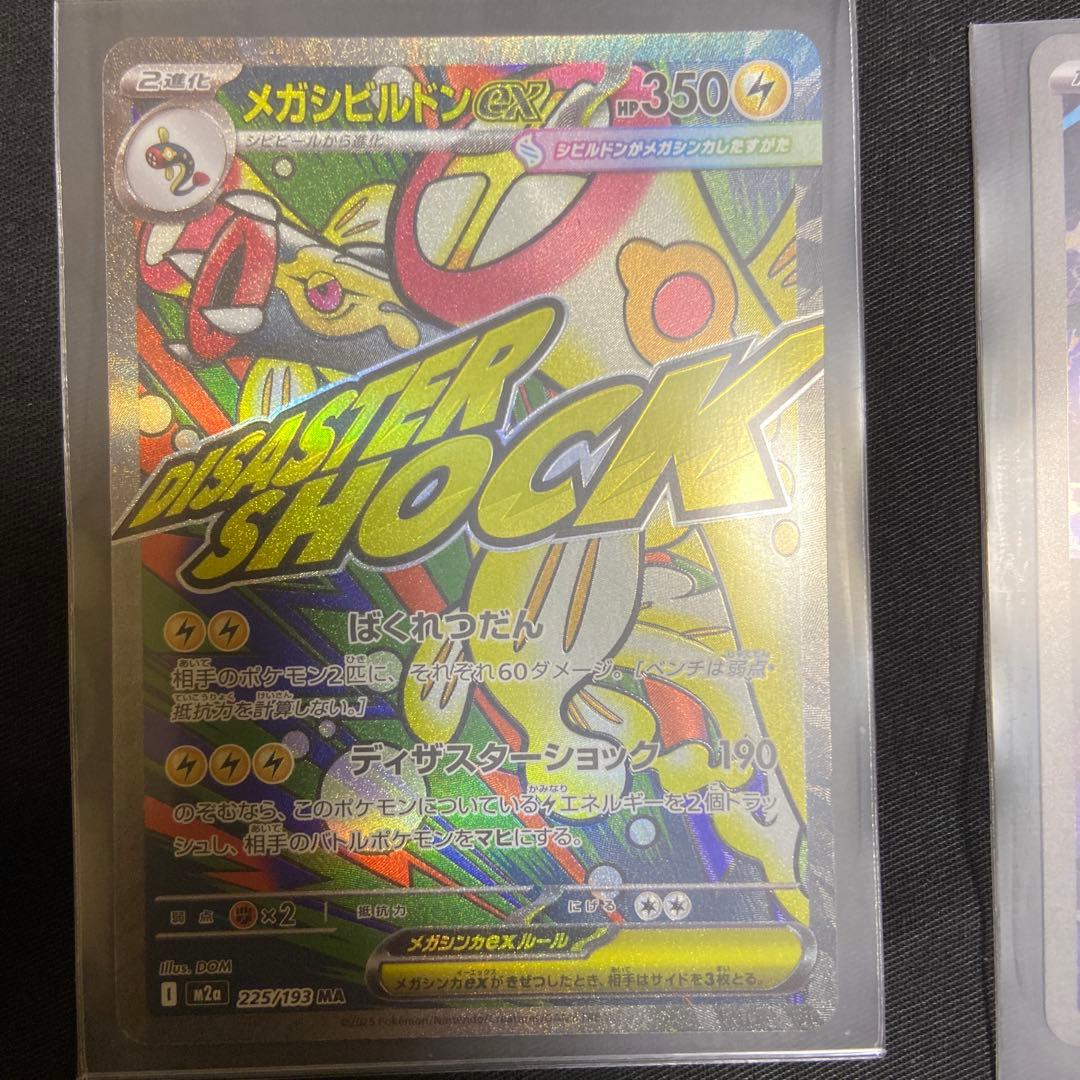 ポケモンカード メイのはげまし EXカードセット
