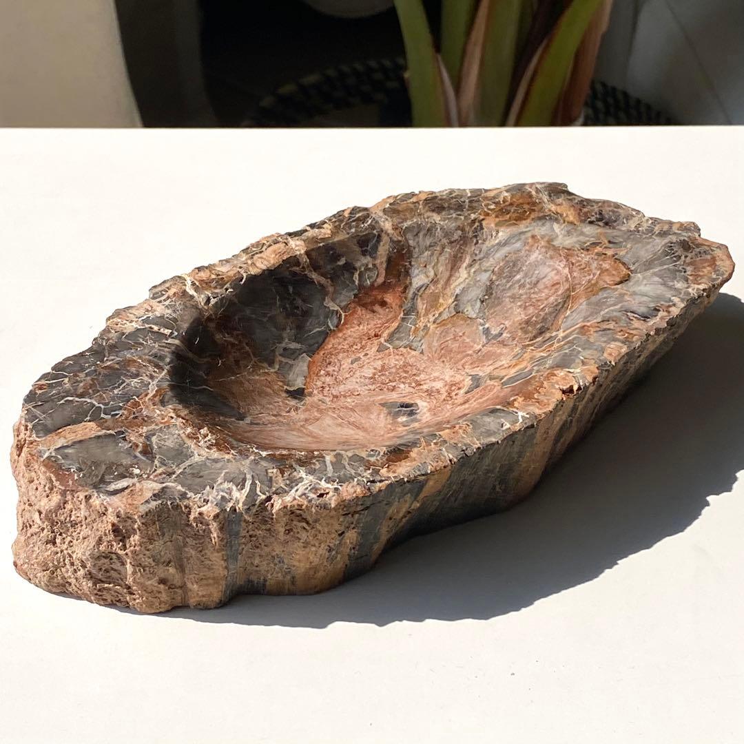 【 珪化木 ペトリファイドウッド ボウル 約1.1kg アクセサリー トレイ 】