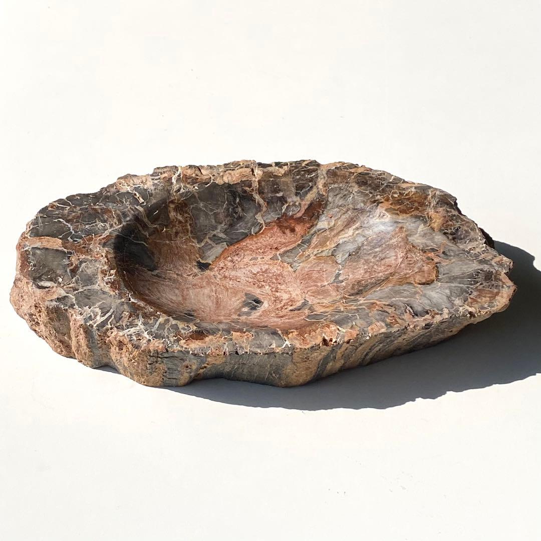 【 珪化木 ペトリファイドウッド ボウル 約1.1kg アクセサリー トレイ 】