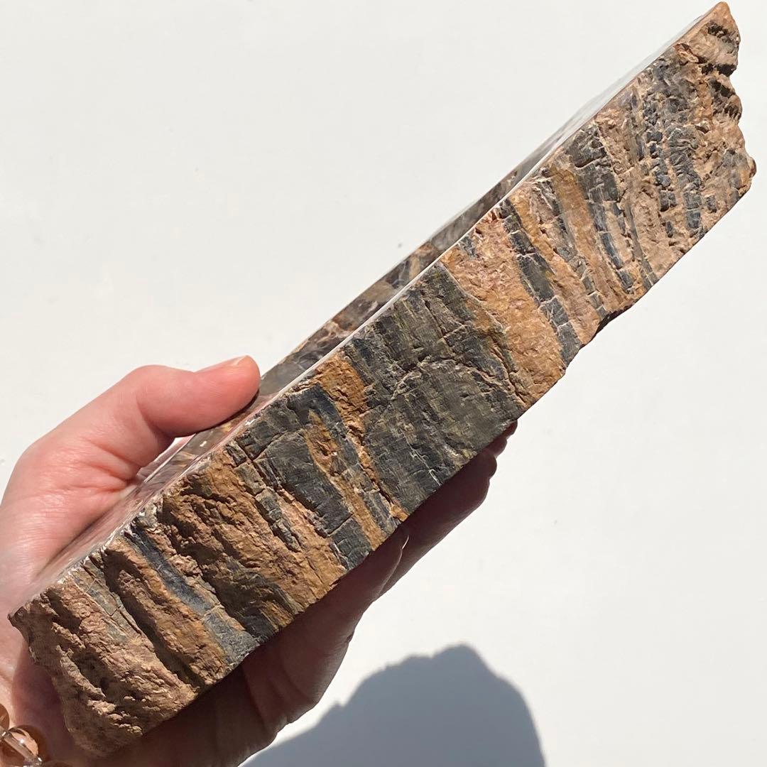 【 珪化木 ペトリファイドウッド ボウル 約1.1kg アクセサリー トレイ 】