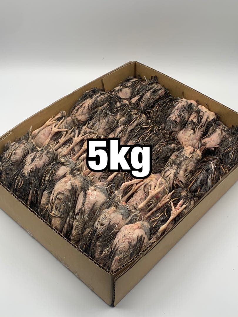 冷凍ウズラ5kg【送料込】