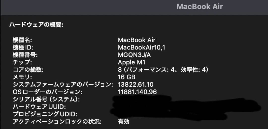 M1 MacBook Air 16GB / 1TB スペースグレー 付属品完備