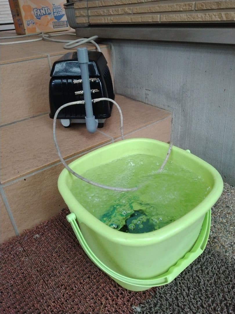【安永(LP-40A)43L】3H20 エアポンプ　ブロワ　浄化槽
