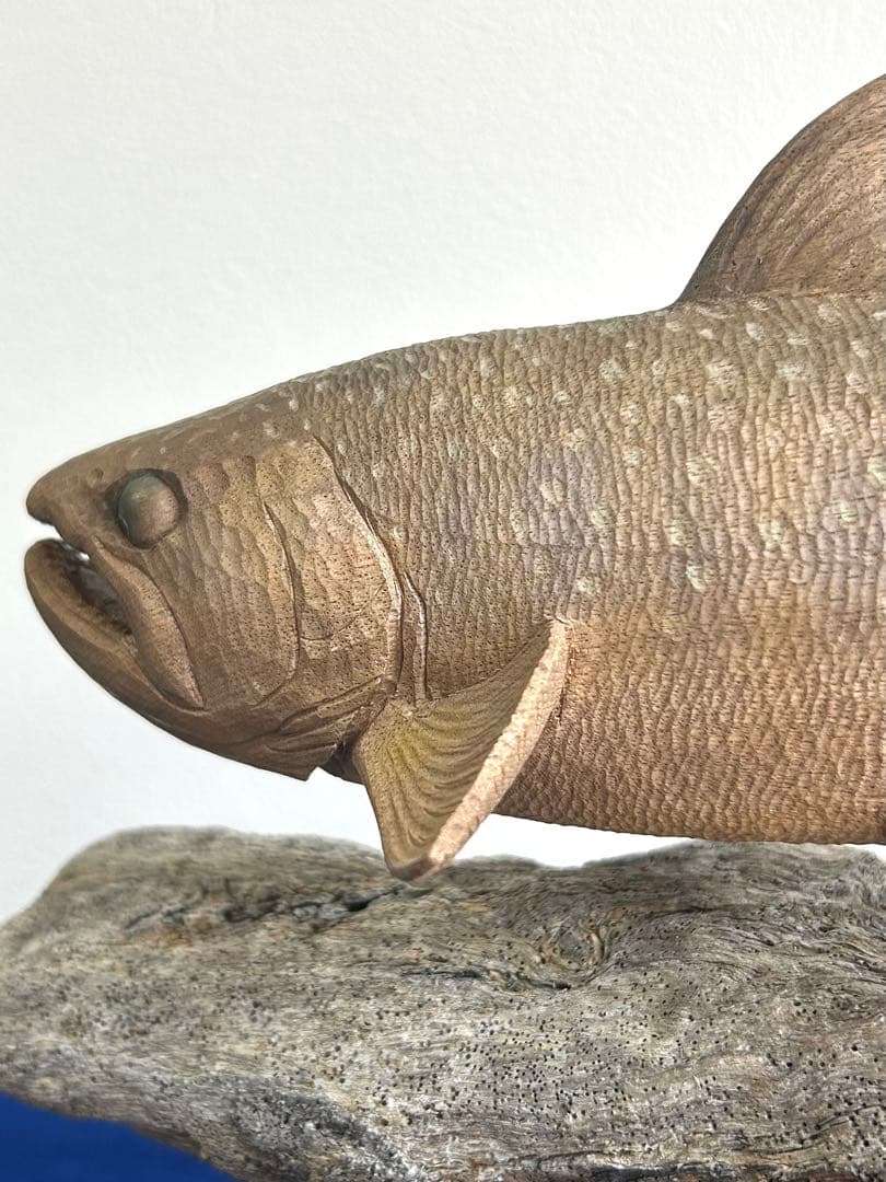 田中鱗水作 神代楠彫イワナ 木彫岩魚 29cm