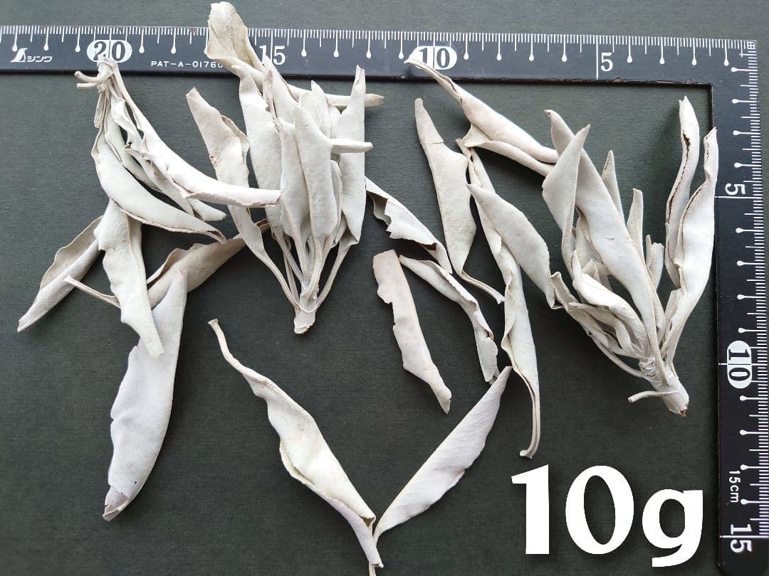 ホワイトセージ 枝付き リーフ 無農薬 １kg